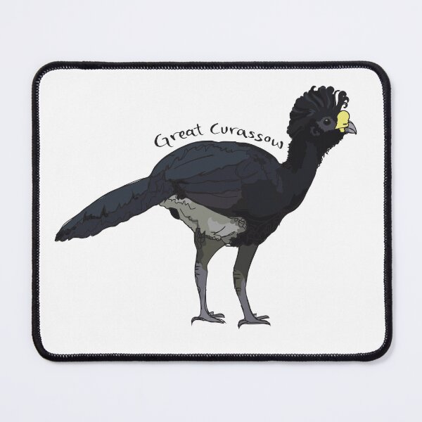 Item preview, Funky Birds: Great Curasow designed and sold by abigailhausman.