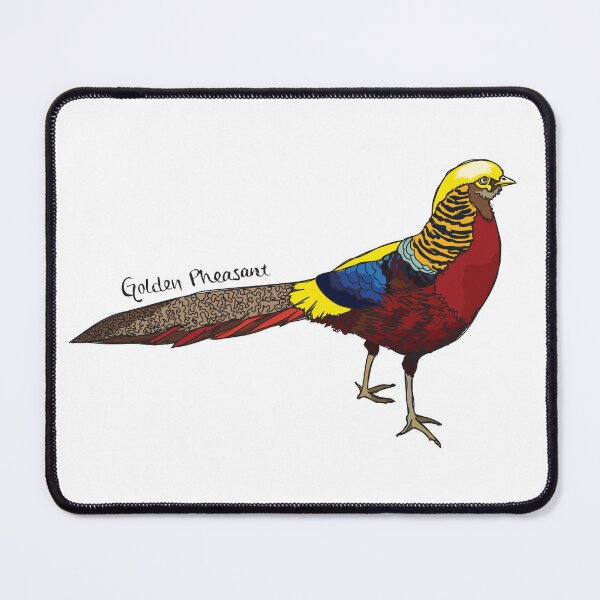Item preview, Funky Birds: Golden Pheasant designed and sold by abigailhausman.