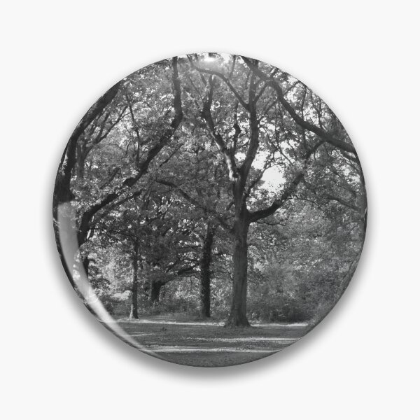 Item preview, Woodland black and white photo Park Wood Maidstone designed and sold by Katy Fryd.