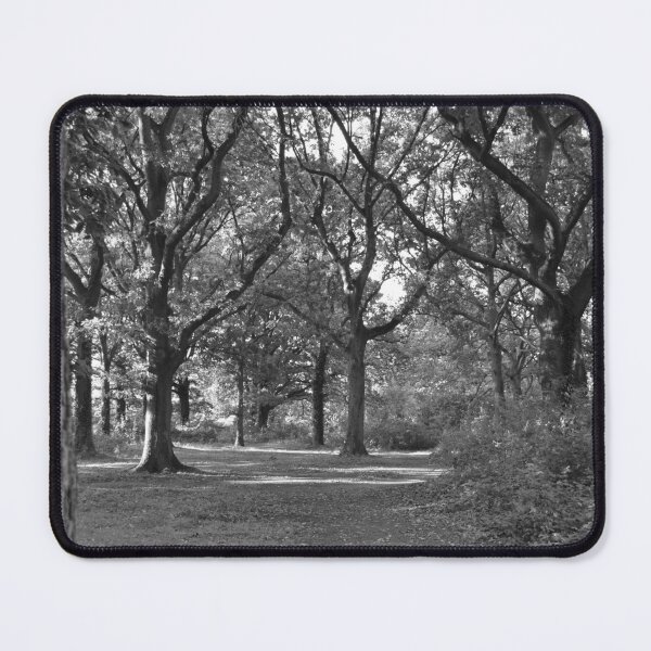 Item preview, Woodland black and white photo Park Wood Maidstone designed and sold by Katy Fryd.