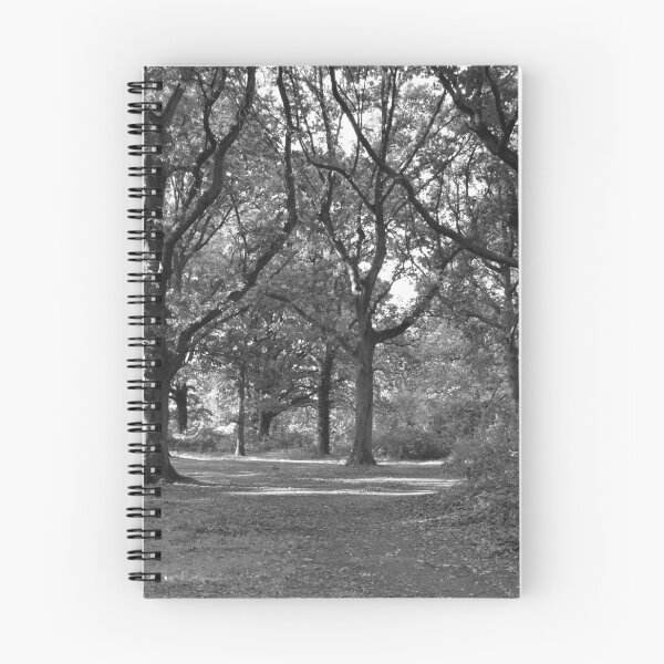 Item preview, Woodland black and white photo Park Wood Maidstone designed and sold by Katy Fryd.