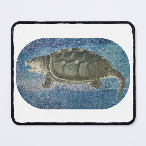 Item preview, A Large Species of Turtle, Vintage Design designed and sold by LabAlchemico.