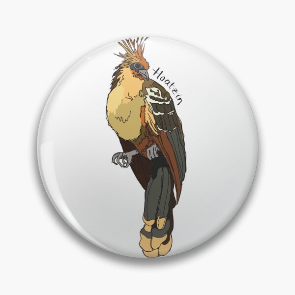 Item preview, Funky Birds: Hoatzin designed and sold by abigailhausman.