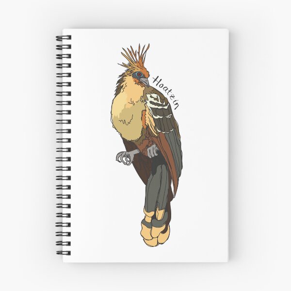 Item preview, Funky Birds: Hoatzin designed and sold by abigailhausman.