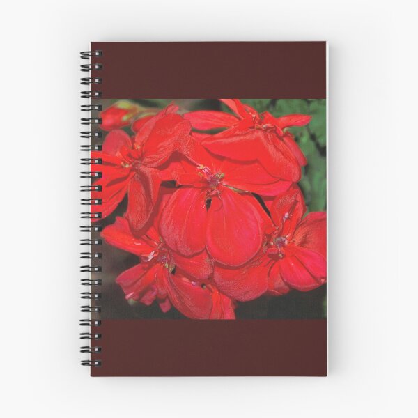 Item preview, Geranium bunch designed and sold by B. Randi Bailey.