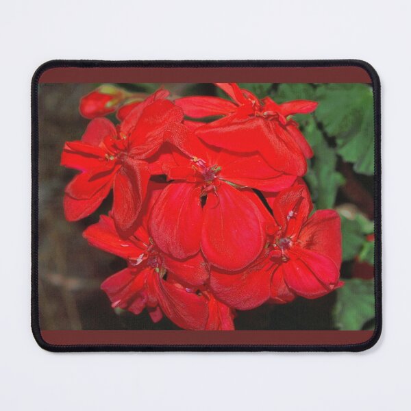 Item preview, Geranium bunch designed and sold by B. Randi Bailey.