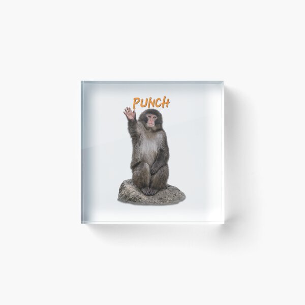 Item preview, Punch Monkey Waving his hand . Viral Cute Baby Monkey Meme, Funny Monkey Lover Gift designed and sold by TuyaArts.