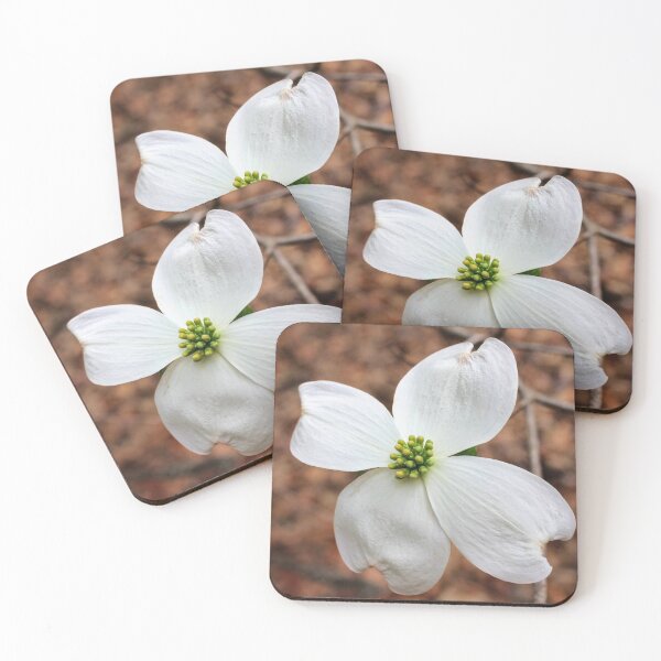 Item preview, Flowering White Dogwood Blossom - Spring Botanical Nature Photography designed and sold by Blossom-Breeze.