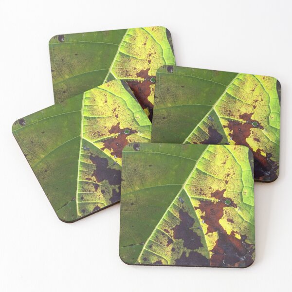Item preview, close up leaf photograph designed and sold by GiSilver.
