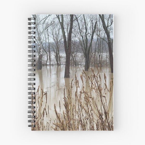 Item preview, Flood Today 12 designed and sold by Abeink1030.