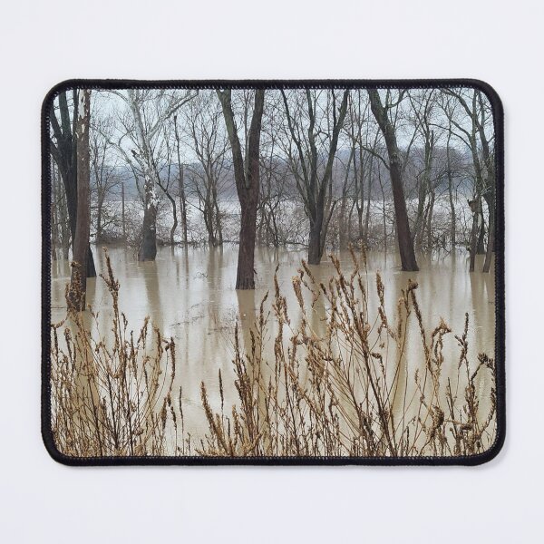 Item preview, Flood Today 12 designed and sold by Abeink1030.
