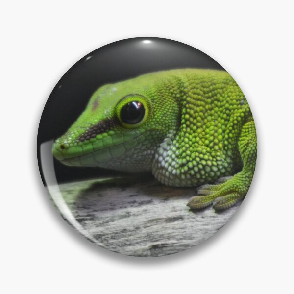 Item preview, Madagascar giant day Gecko designed and sold by BarryMayfield.