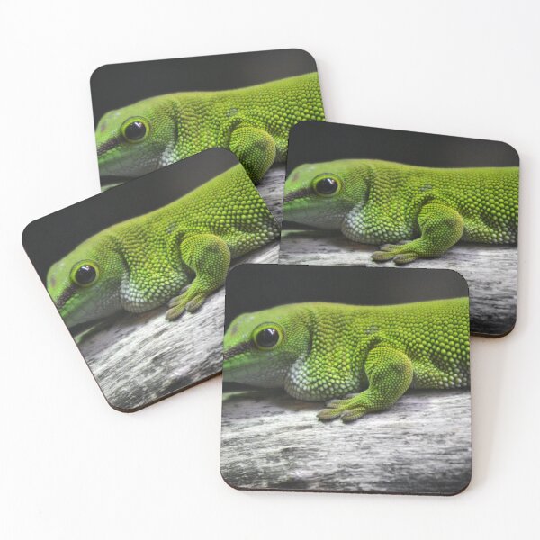 Item preview, Madagascar giant day Gecko designed and sold by BarryMayfield.