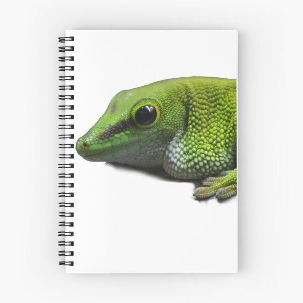 Item preview,  Madagascar giant day Gecko isolated designed and sold by BarryMayfield.