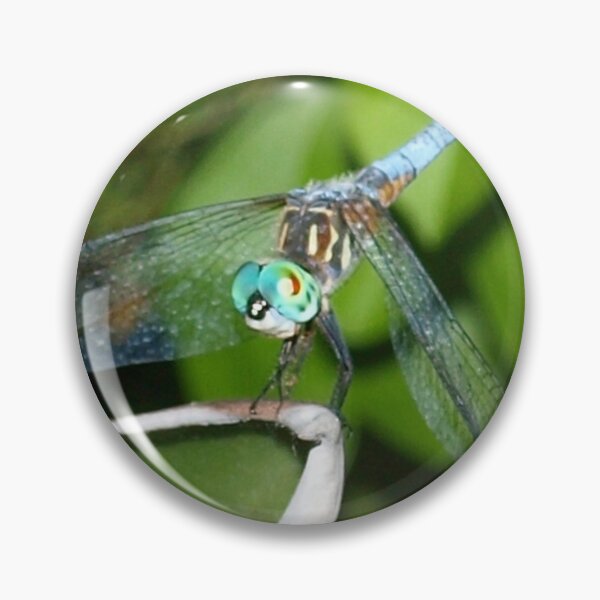 Item preview, Blue dragonfly with aqua eyes designed and sold by B. Randi Bailey.
