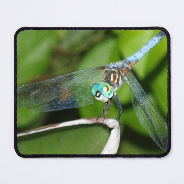 Item preview, Blue dragonfly with aqua eyes designed and sold by B. Randi Bailey.