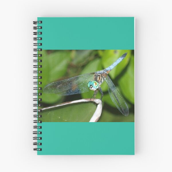 Item preview, Blue dragonfly with aqua eyes designed and sold by B. Randi Bailey.