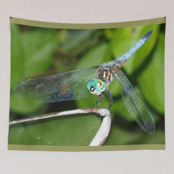 Item preview, Blue dragonfly with aqua eyes designed and sold by B. Randi Bailey.