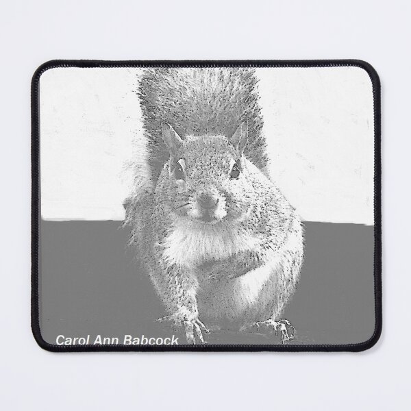 Item preview, C 2025 STEVE YELLOWBEAR FINE ART - CAROL'S FAVORITE SQUIRREL designed and sold by SteveYellowbear.