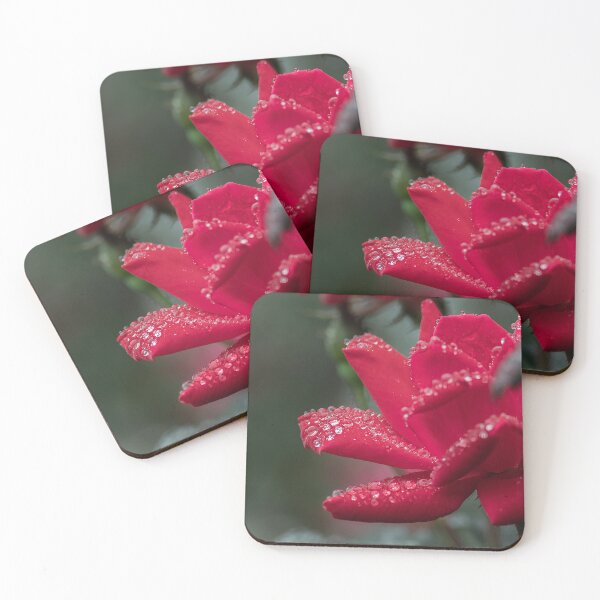 Item preview, Rainy Rose designed and sold by DiamondZPhotos.