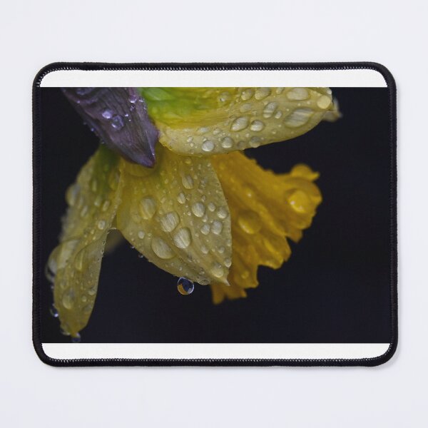 Item preview, Rainy Daffodil designed and sold by DiamondZPhotos.