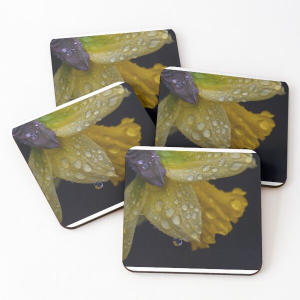 Item preview, Rainy Daffodil designed and sold by DiamondZPhotos.