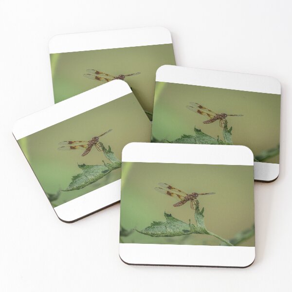 Item preview, Dragonfly designed and sold by DiamondZPhotos.