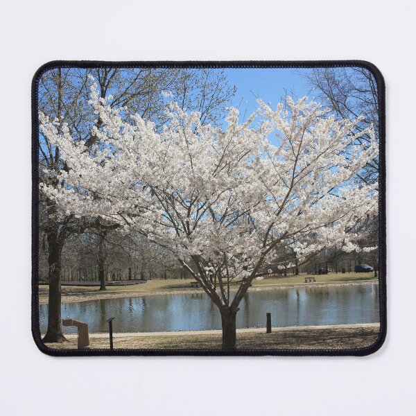 Item preview, Spring White Blossoms by the Pond designed and sold by Blossom-Breeze.