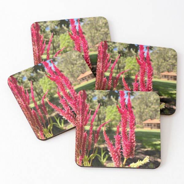 Item preview, Vibrant Red Celosia Flower Spikes in Garden Sunlight designed and sold by Be Captured by Brittany Emma.