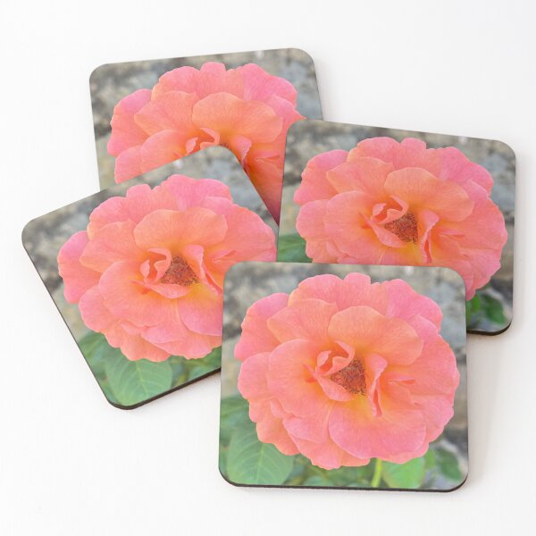 Item preview, Elegant Peach Garden Rose with Soft Layered Petals designed and sold by Be Captured by Brittany Emma.