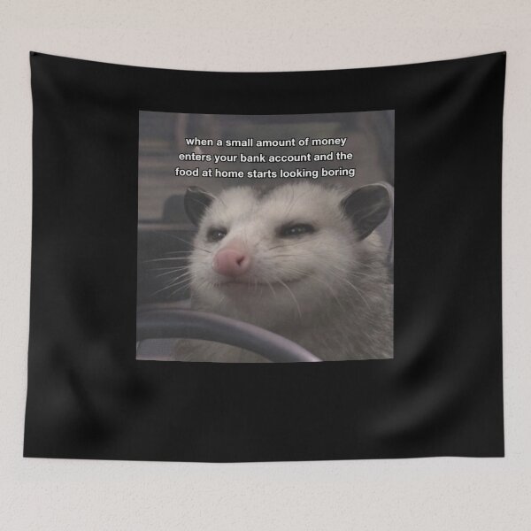 Item preview, Raccoon When Money Enters My Bank Account Funny Meme designed and sold by markbauch.