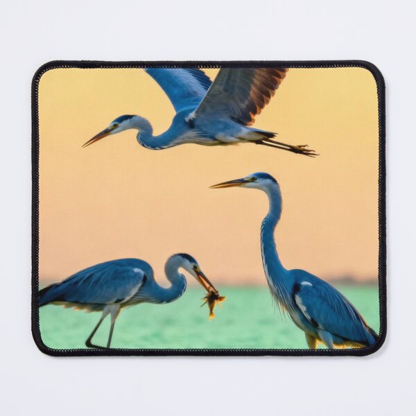 Item preview, Quiet The University Of Western Australia Uwa aNight Energy designed and sold by Aninature.