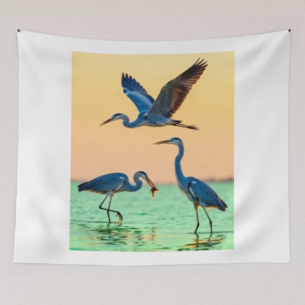 Item preview, Quiet The University Of Western Australia Uwa aNight Energy designed and sold by Aninature.