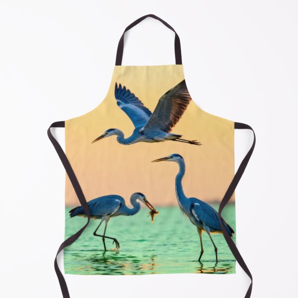 Item preview, Quiet The University Of Western Australia Uwa aNight Energy designed and sold by Aninature.