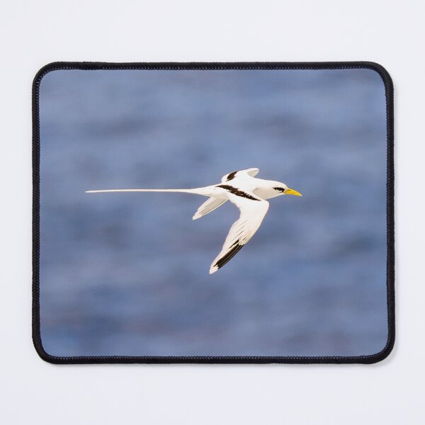Item preview, The White-tailed Tropicbird on the seabed designed and sold by Gaël FONTAINE.