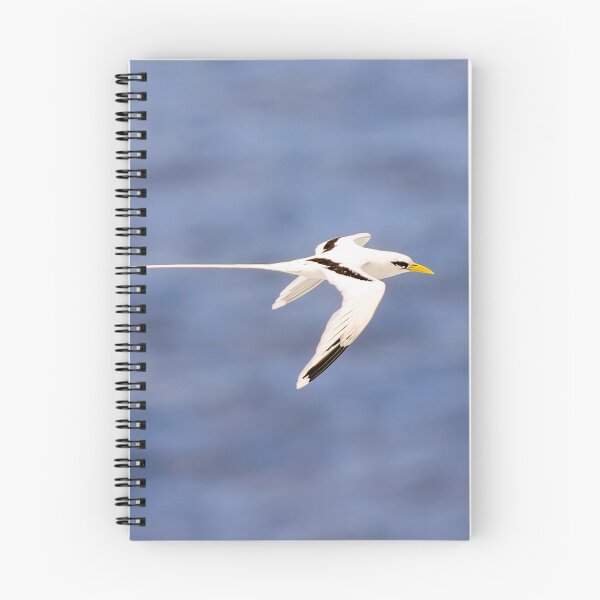 Item preview, The White-tailed Tropicbird on the seabed designed and sold by Gaël FONTAINE.