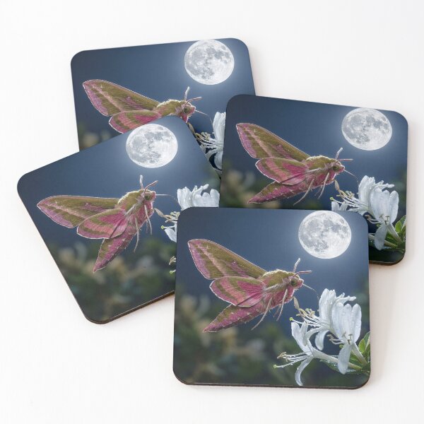 Item preview, Elephant Hawk Moth on Honeysuckle Under Full Moon designed and sold by Tridentulus.