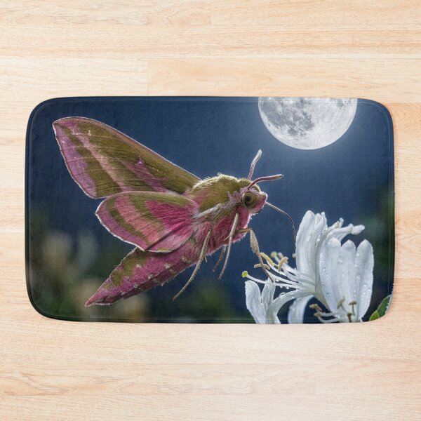 Item preview, Elephant Hawk Moth on Honeysuckle Under Full Moon designed and sold by Tridentulus.