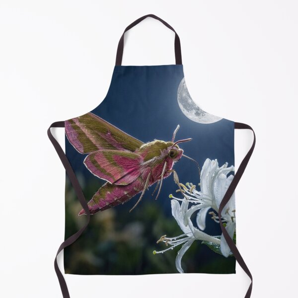 Item preview, Elephant Hawk Moth on Honeysuckle Under Full Moon designed and sold by Tridentulus.