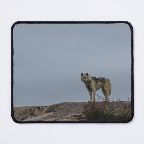 Item preview, Lone Greenlandic Husky designed and sold by Micki Selvitella.