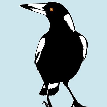 Artwork thumbnail, Australian Magpie by Byrnsey