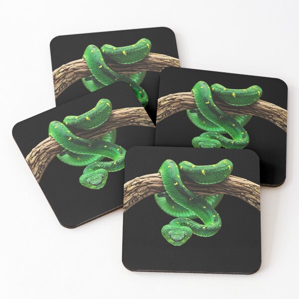 Item preview, West African Leaf Viper designed and sold by CatsPa.