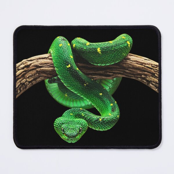 Item preview, West African Leaf Viper designed and sold by CatsPa.