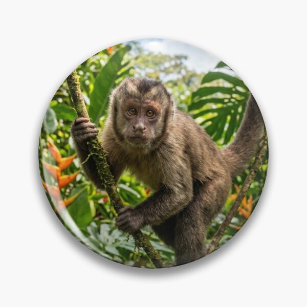 Item preview, The monkey in the jungle designed and sold by BodaZZ.