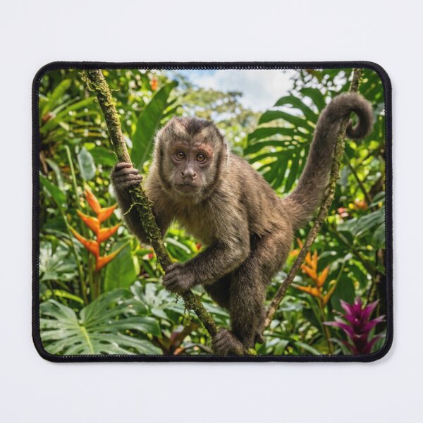 Item preview, The monkey in the jungle designed and sold by BodaZZ.