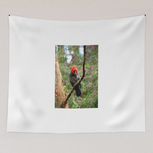 Item preview, Gang Gang Cockatoo designed and sold by GP1746.