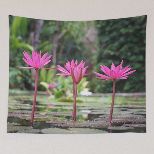 Item preview, Vibrant Pink Water Lilies Blooming in Tropical Pond designed and sold by LRPhotoart.