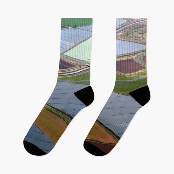 Item preview, Wayne Thiebaud designed and sold by Saintjemmy.