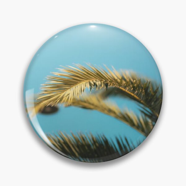 Item preview, Fern Leafs Blue Sky Photographic Print designed and sold by Mother-Nature65.