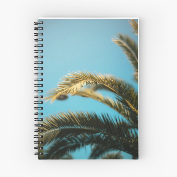 Item preview, Fern Leafs Blue Sky Photographic Print designed and sold by Mother-Nature65.